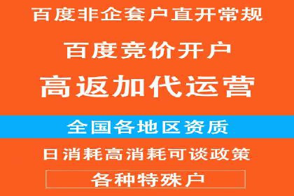 百度推广的投放策略与效果分析